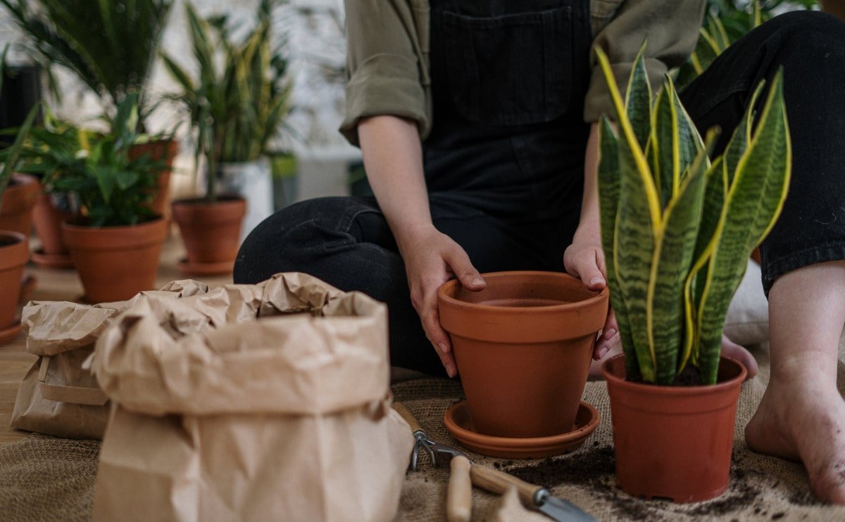Wie wählt man das richtige Brennholz für seinen Ofen oder Kamin aus?